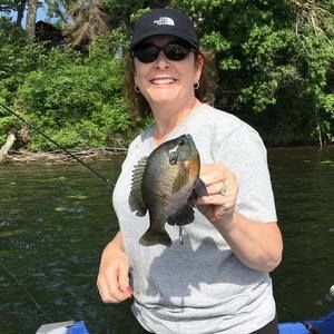 Meet your Posher, Gail